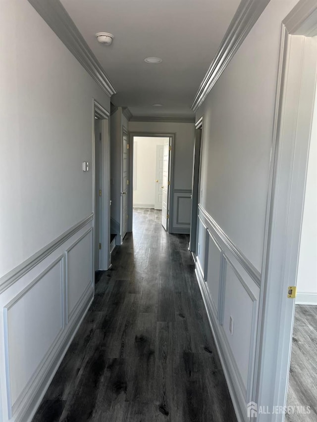 corridor featuring ornamental molding and dark hardwood / wood-style flooring