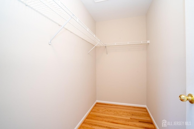 17 Larkspur Dr, South Brunswick, NJ 08810 - walk in closet featuring light wood-style floors
