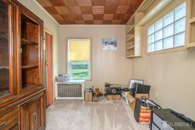 interior space with radiator heating unit