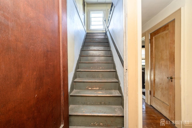 staircase featuring wood finished floors