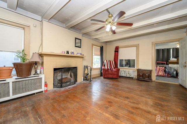 living room with a brick fireplace, beam ceiling, wood finished floors, and radiator