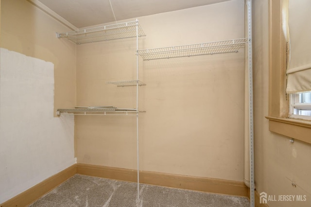 spacious closet featuring carpet
