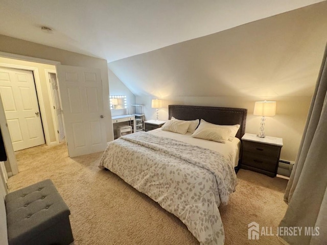 10 S 8th Ave S, Highland Park, NJ 08904 - bedroom featuring light carpet, a baseboard radiator, and vaulted ceiling