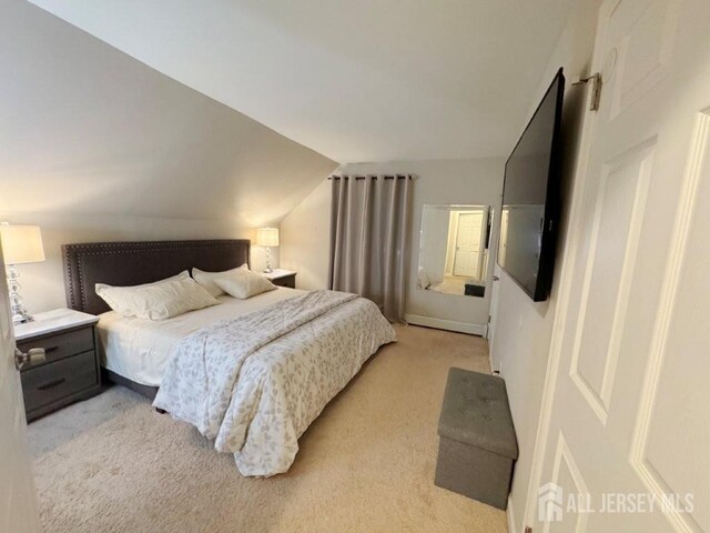10 S 8th Ave S, Highland Park, NJ 08904 - bedroom with light colored carpet and lofted ceiling