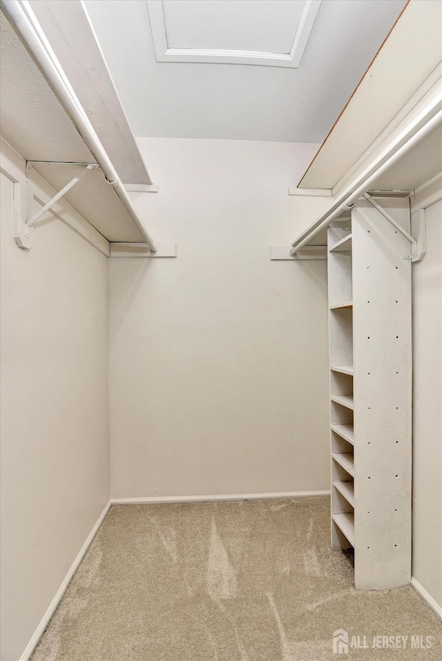 32 Wetherhill Way S, Brunswick, NJ 08810 - photo 29