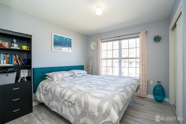 345 Morning Glory Dr, Monroe, NJ 08831 - bedroom with wood finished floors, a closet, and baseboards