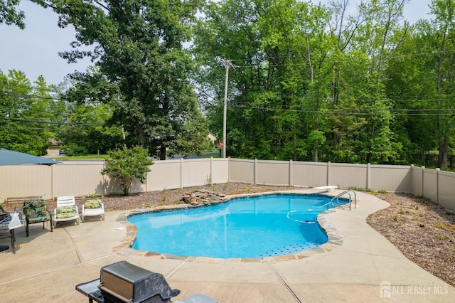 2 Kerry Ct, Old Bridge, NJ 08857 - view of swimming pool with a patio, a fenced backyard, and a diving board