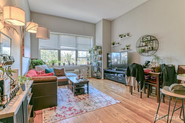 living room with light hardwood / wood-style floors