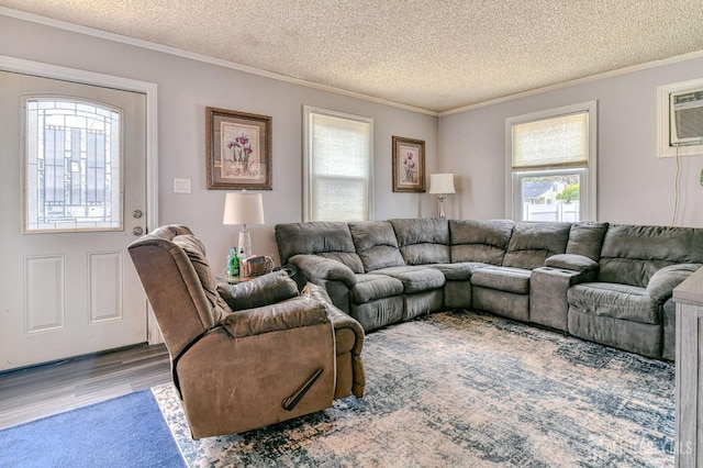 living room featuring a textured ceiling, crown molding, wood finished floors, and a wall mounted air conditioner
