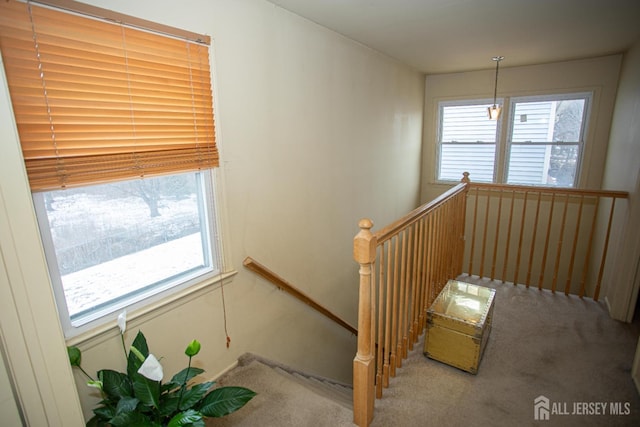 staircase with carpet