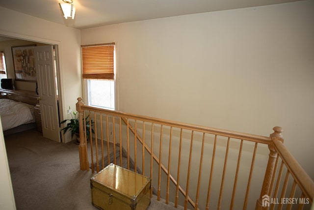 stairs with carpet floors