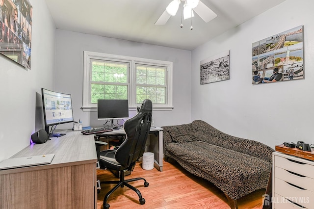 1056 Kearney Dr, North Brunswick, NJ 08902 - photo 14