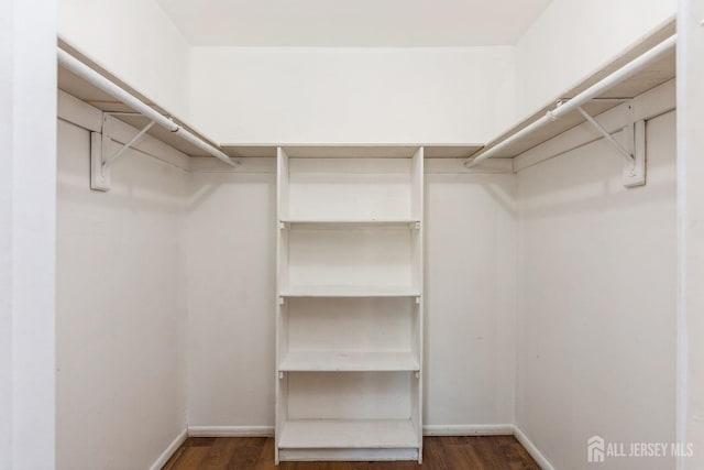 spacious closet with wood finished floors