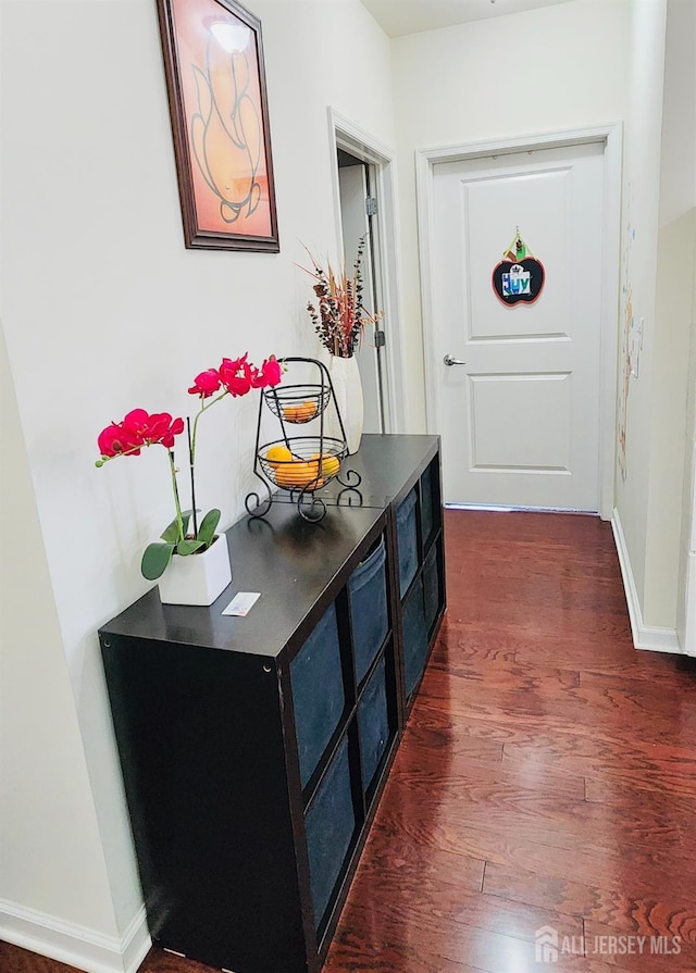 548 E Celebration Way E, South Plainfield, NJ 07080 - corridor with dark wood-style flooring and baseboards