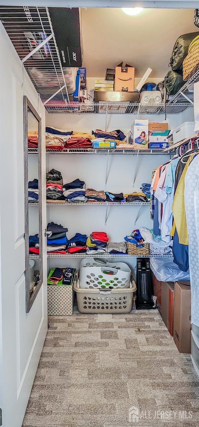 548 E Celebration Way E, South Plainfield, NJ 07080 - spacious closet featuring carpet floors