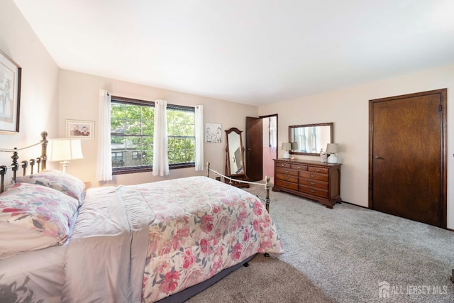 77 Highview Dr, Woodbridge Proper, NJ 07095 - view of carpeted bedroom