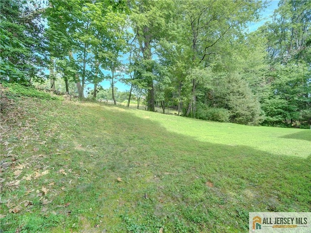 6 Conover Ct, East Brunswick, NJ 08816 - photo 7