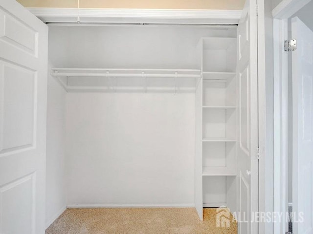 308 Pewter Ct, Old Bridge, NJ 08857 - view of closet