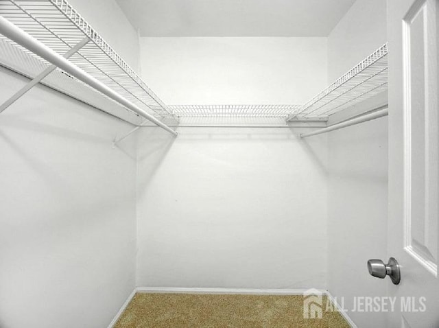 308 Pewter Ct, Old Bridge, NJ 08857 - spacious closet featuring carpet floors