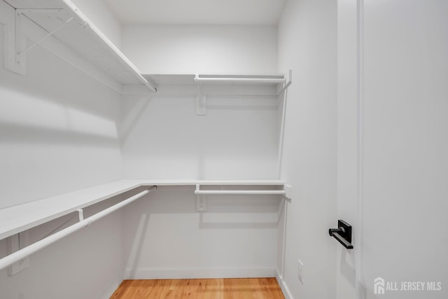 709 Plainfield Ave, Piscataway, NJ 08854 - walk in closet with light wood-type flooring