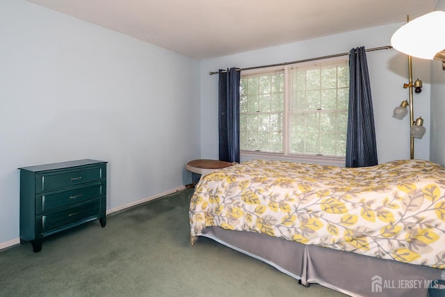89 King St, Edison, NJ 08820 - bedroom with carpet flooring and baseboards