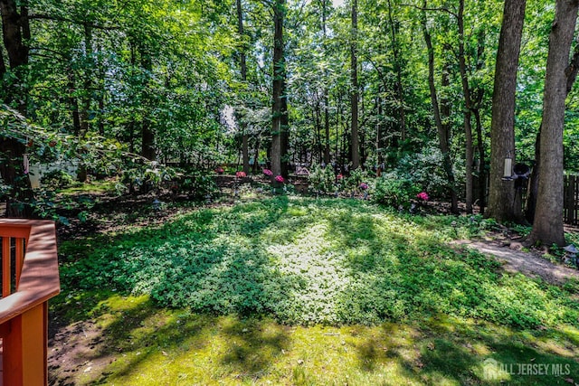 89 King St, Edison, NJ 08820 - view of yard