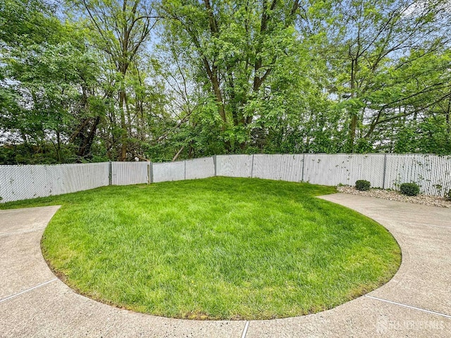 12 Dana Estates Dr, Old Bridge, NJ 08859 - view of yard