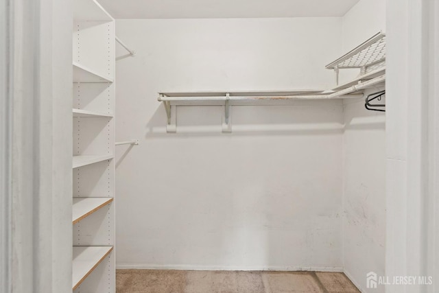 153 Concordia Cir Unit D, Monroe, NJ 08831 - walk in closet with carpet