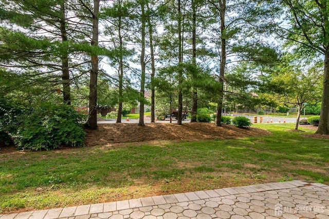 325 Mcdowell Dr, East Brunswick, NJ 08816 - view of grassy yard