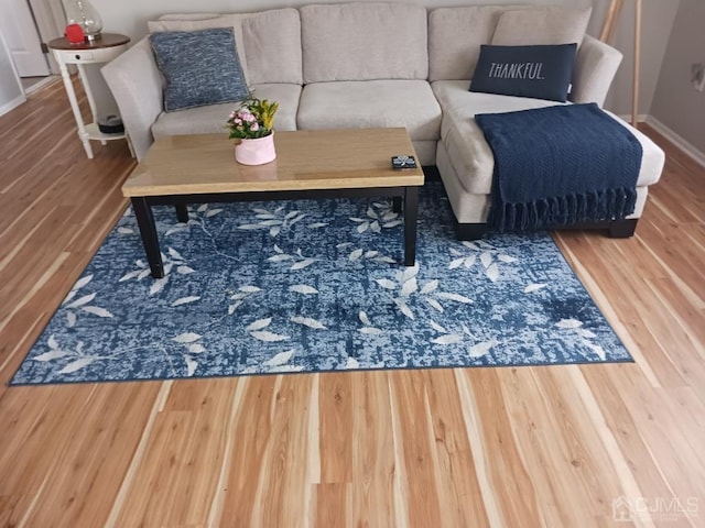 living room featuring baseboards and wood finished floors