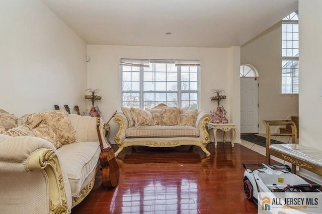 living area featuring wood finished floors and a wealth of natural light