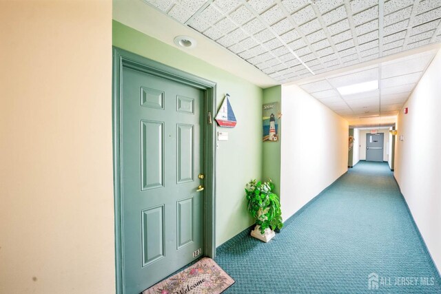 hallway with carpet flooring and a drop ceiling