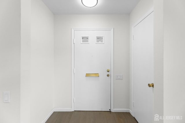 entryway featuring hardwood / wood-style flooring