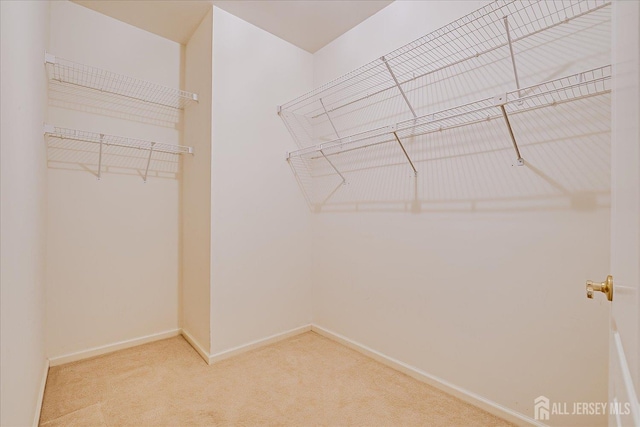 spacious closet with carpet flooring