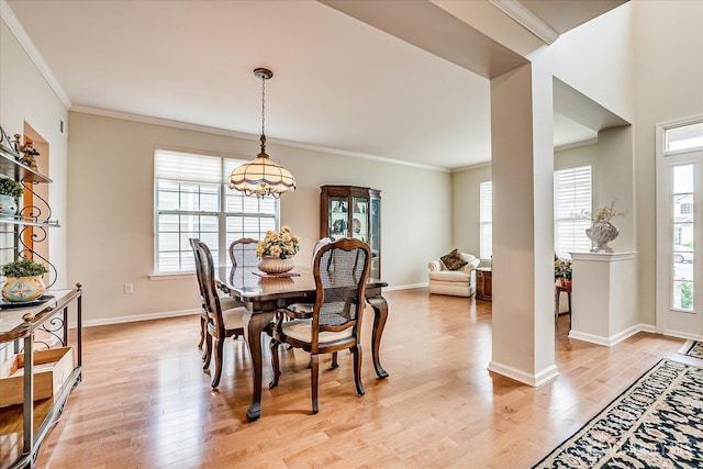 249 Spring Meadow Way, Monroe, NJ 08831 - dining area with healthy amount of natural light, light wood-type flooring, crown molding, baseboards, and a chandelier