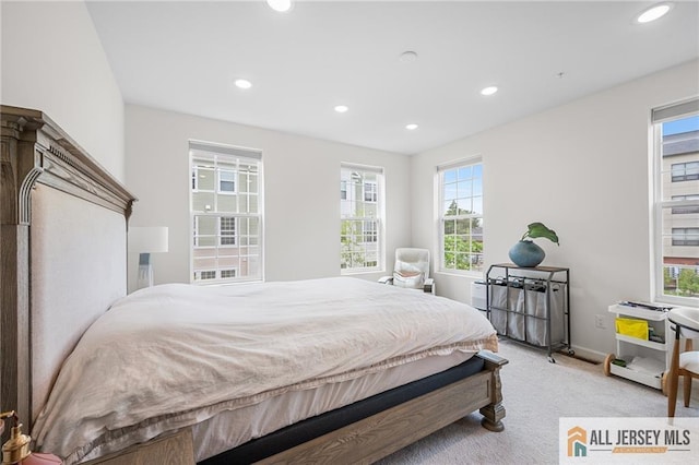 702 Station Rd, Dunellen, NJ 08812 - bedroom featuring light carpet, recessed lighting, and baseboards