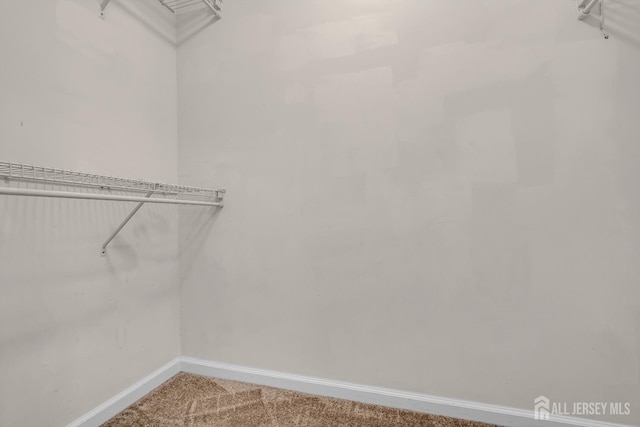 97 Osprey Dr, Old Bridge, NJ 08857 - walk in closet featuring carpet floors