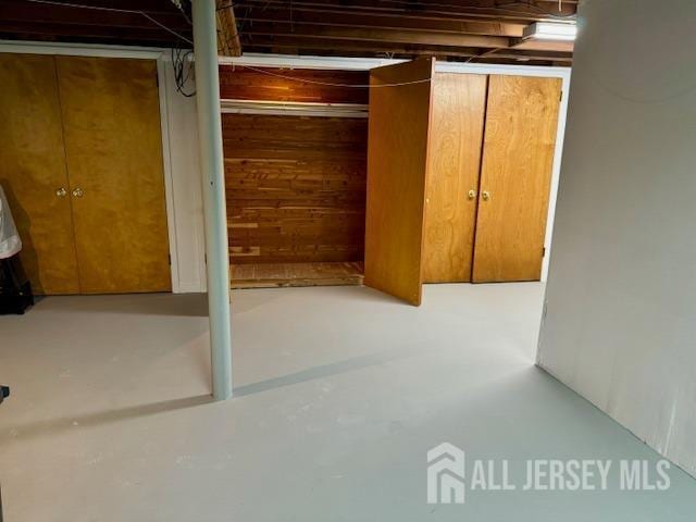 basement with wooden walls