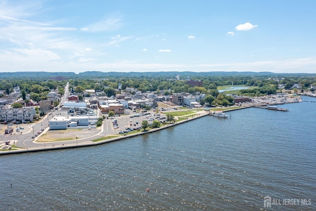 309 1st St, Keyport, NJ 07735 - drone / aerial view of a large body of water