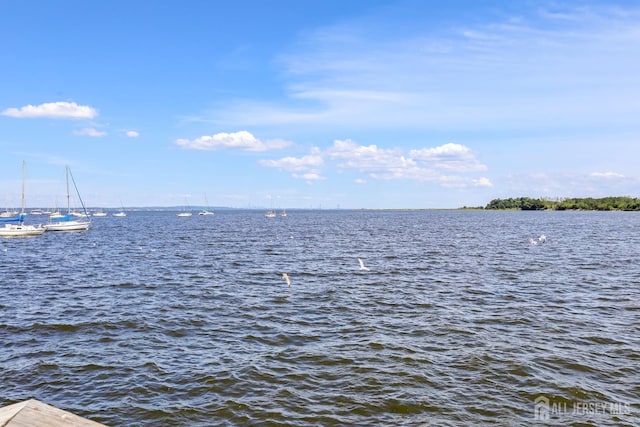 309 1st St, Keyport, NJ 07735 - water view