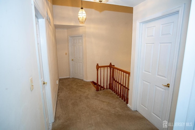 41 Louise Dr, Milltown, NJ 08850 - photo 45