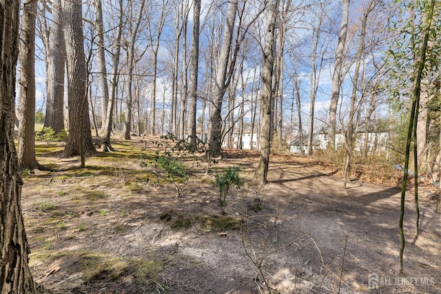 1 Cherokee Rd, East Brunswick, NJ 08816 - photo 56