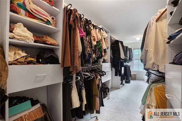 9 Lavender Way E, Brunswick, NJ 08816 - walk in closet featuring carpet