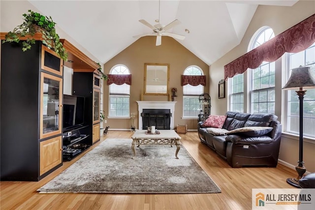 9 Lavender Way E, Brunswick, NJ 08816 - living area with high vaulted ceiling, healthy amount of natural light, a ceiling fan, a fireplace, and light wood finished floors