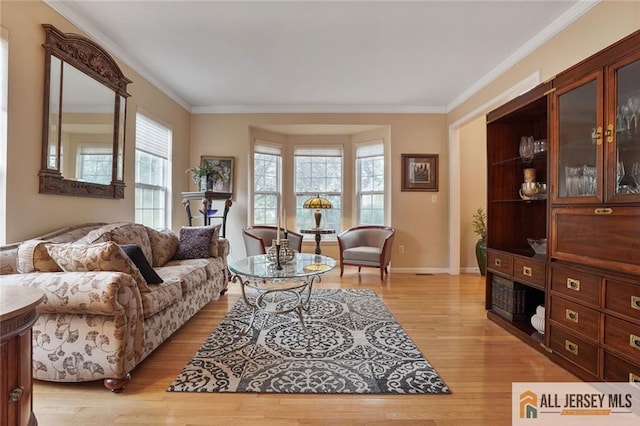 9 Lavender Way E, Brunswick, NJ 08816 - living area with light wood finished floors and crown molding