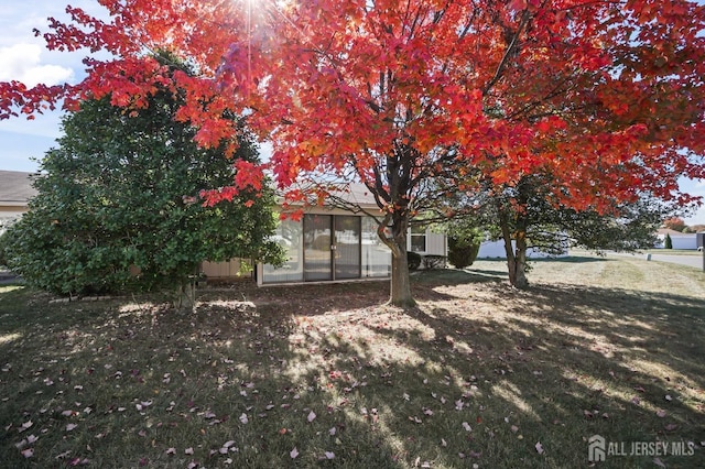 rear view of house with a yard