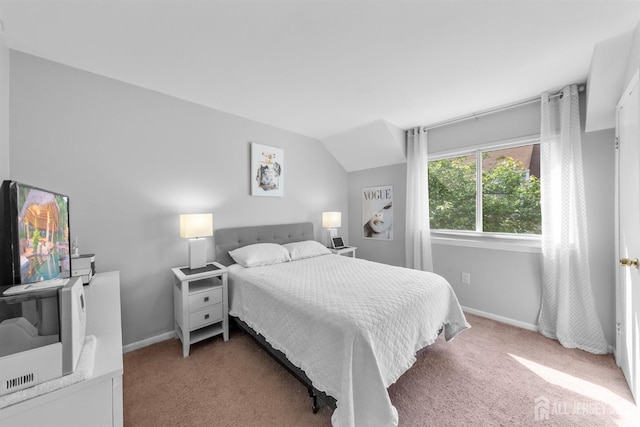 1058 Schmidt Ln, North Brunswick, NJ 08902 - bedroom featuring light carpet and baseboards