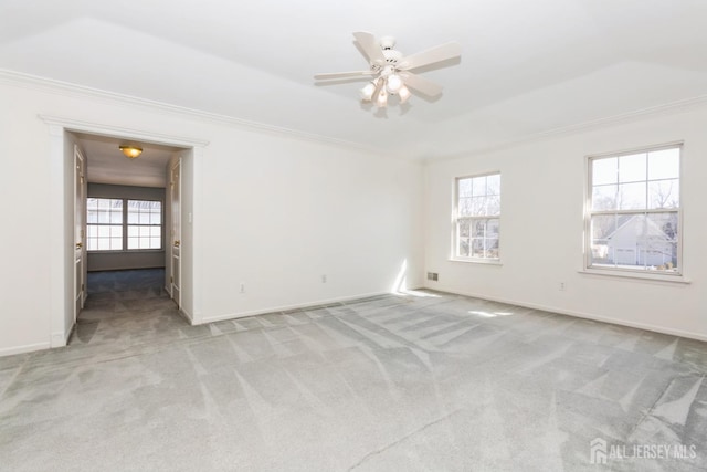 empty room featuring light carpet, a tray ceiling, crown molding, and a wealth of natural light