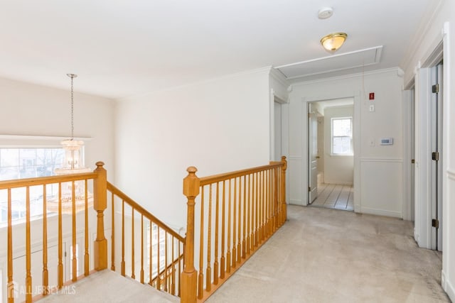 corridor featuring carpet flooring, an upstairs landing, crown molding, and attic access