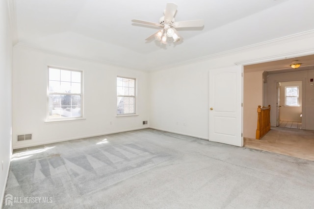 carpeted spare room with a wealth of natural light, a raised ceiling, and ornamental molding